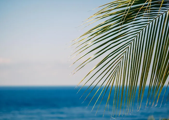 Aquamarine Seaview *
